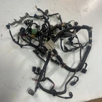 Honda Marine Oem Engine Wire Harness 32100-ZX1-000, Sn BBHJ-1101591. Fixed Price $164.95.