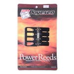 Reed Kit, Boyesen Mercury. Fixed Price $136.14.