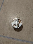 2005 Yamaha 6HP Piston Assembly. Fixed Price $40.00.