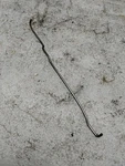 Johnson Evinrude 150HP 343269 Throttle Link 335256 1999 K1C. Fixed Price $10.00.