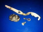0203596 Lever Lock Gear Screw Grommet Seaking 15HP Ward Johnson Evinrude. Fixed Price $10.47.