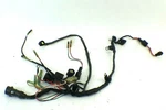 Mercury 75 Hp Stroke Wiring Harness Assy 8042901 Fits 2000-2005. Fixed Price $90.00.
