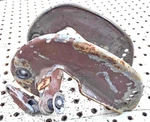 1951-54 Gale Buccaneer 5D10B Hp Transom Bracket Assembly. Fixed Price $49.99.
